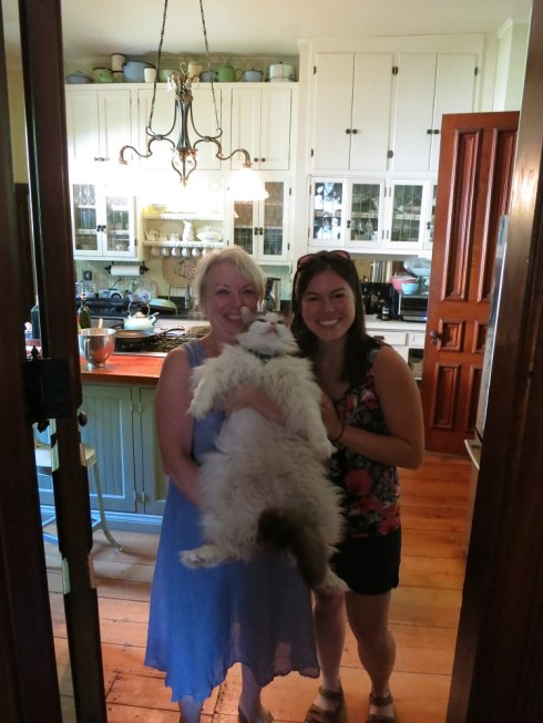 Now that is one BIG cat.