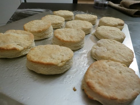 My sad, short, little biscuits.